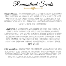 Load image into Gallery viewer, DIY 6 Wick Candle Making Kit