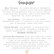 Load image into Gallery viewer, DIY 6 Wick Candle Making Kit